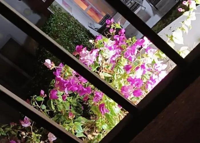 Open Space Jasmine * Şarm El-Şeyh